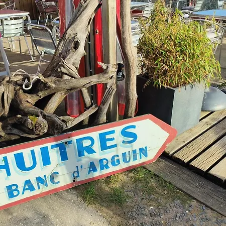 Les Avocettes Commodites Et Baignade A 5 Minutes 4*