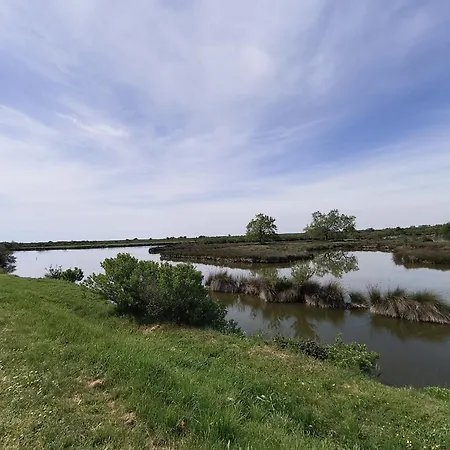 Les Avocettes Commodites Et Baignade A 5 Minutes Hotel 4*