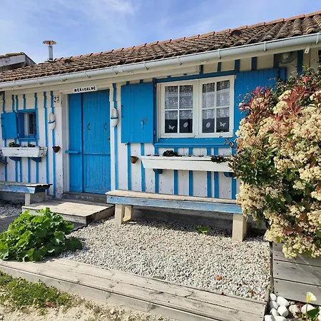 Hotel Les Avocettes Commodites Et Baignade A 5 Minutes Audenge